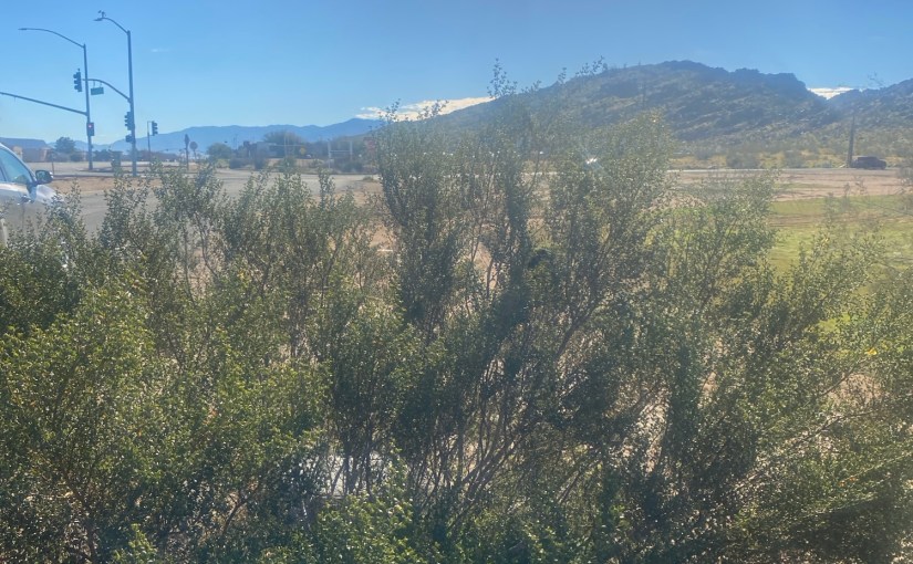 POV from my ride today 🚲 Jan&nbsp;19